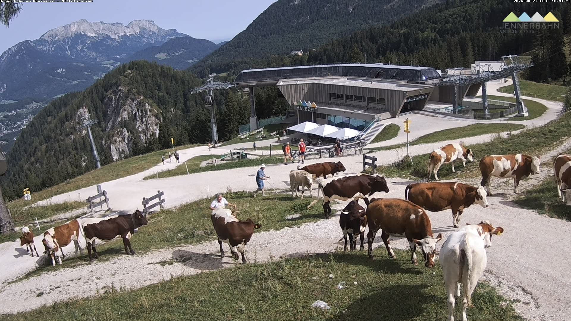 Archiv Foto Webcam Königssee: Jennerbahn Mittelstation