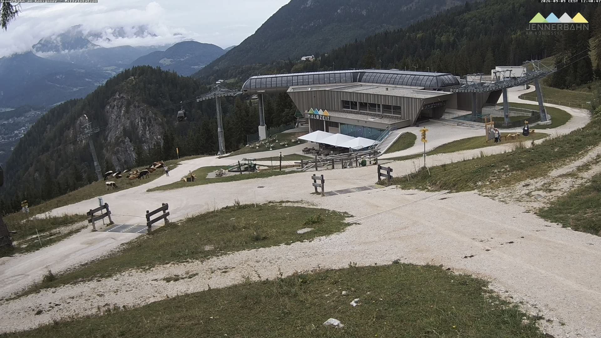 Archived image Webcam Lake Königssee: Jenner Mountain Mid Station
