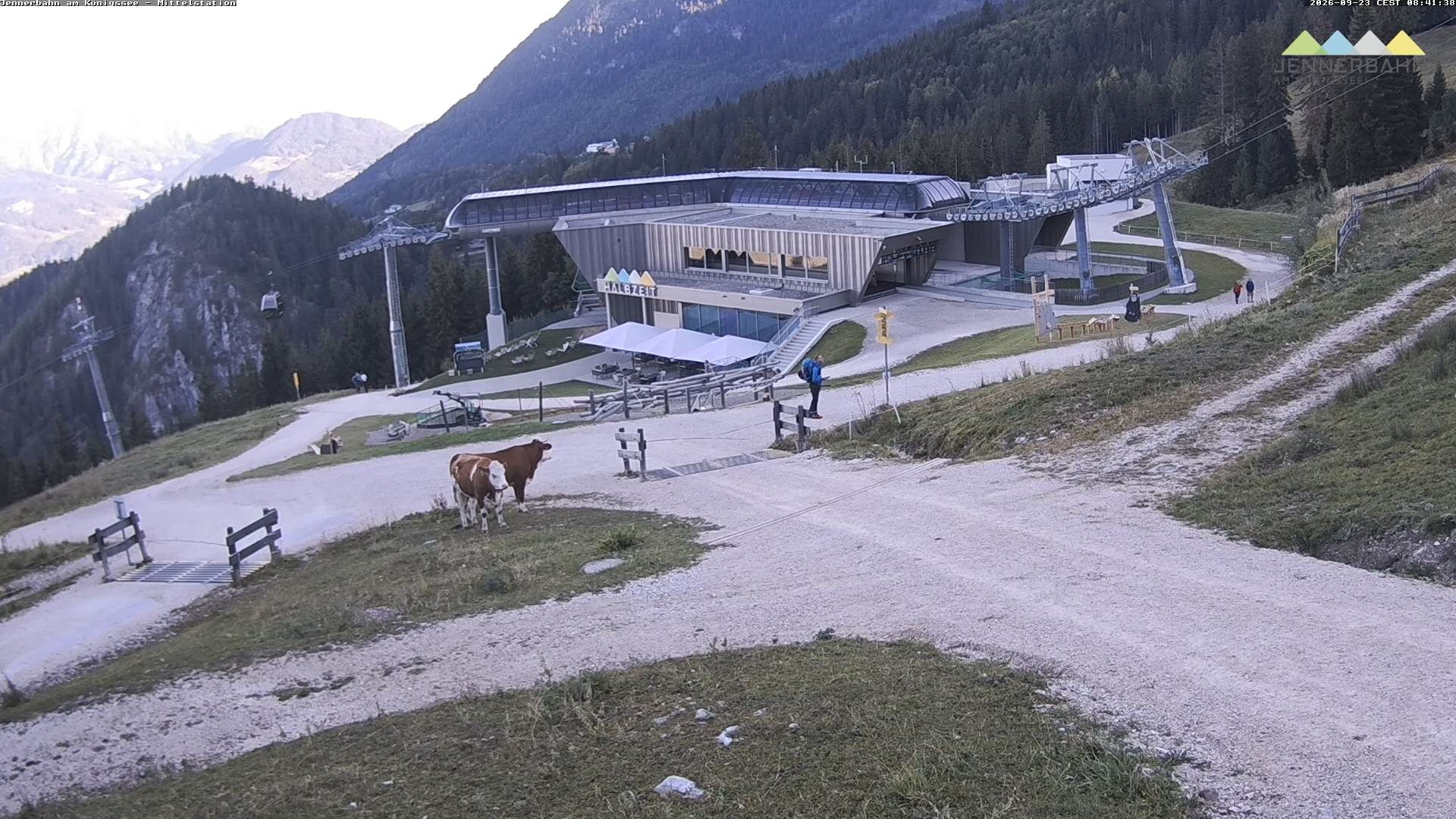 Archiv Foto Webcam Königssee: Jennerbahn Mittelstation