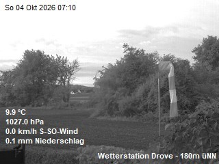 Archiv Foto Webcam Wetterstation Drove in der Eifel