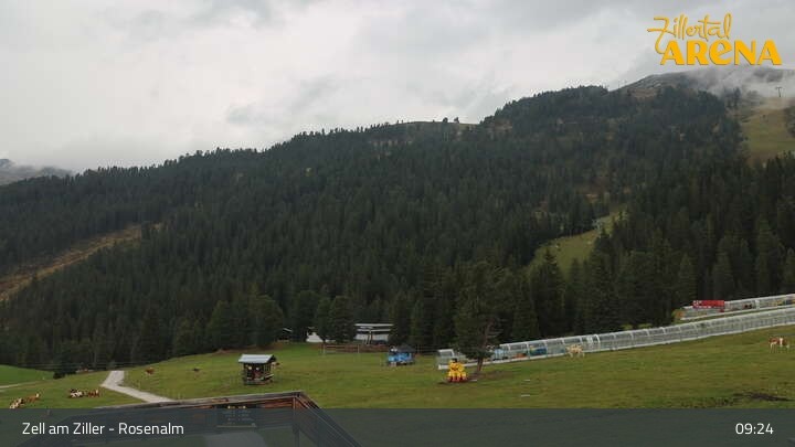 Archiv Foto Webcam Zell am Ziller – Rosenalm Kinderland und Plattenanger