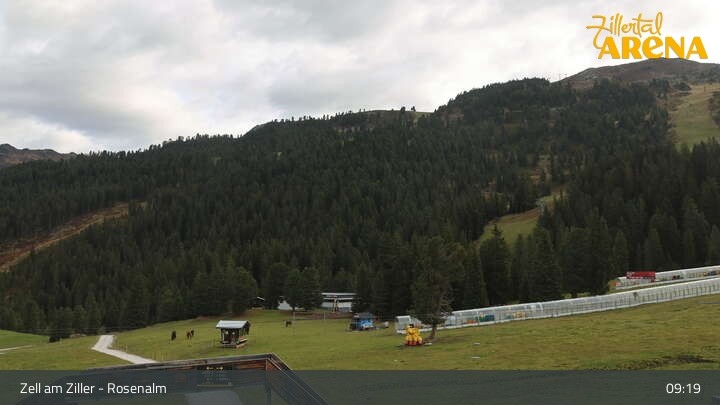 Archiv Foto Webcam Zell am Ziller – Rosenalm Kinderland und Plattenanger