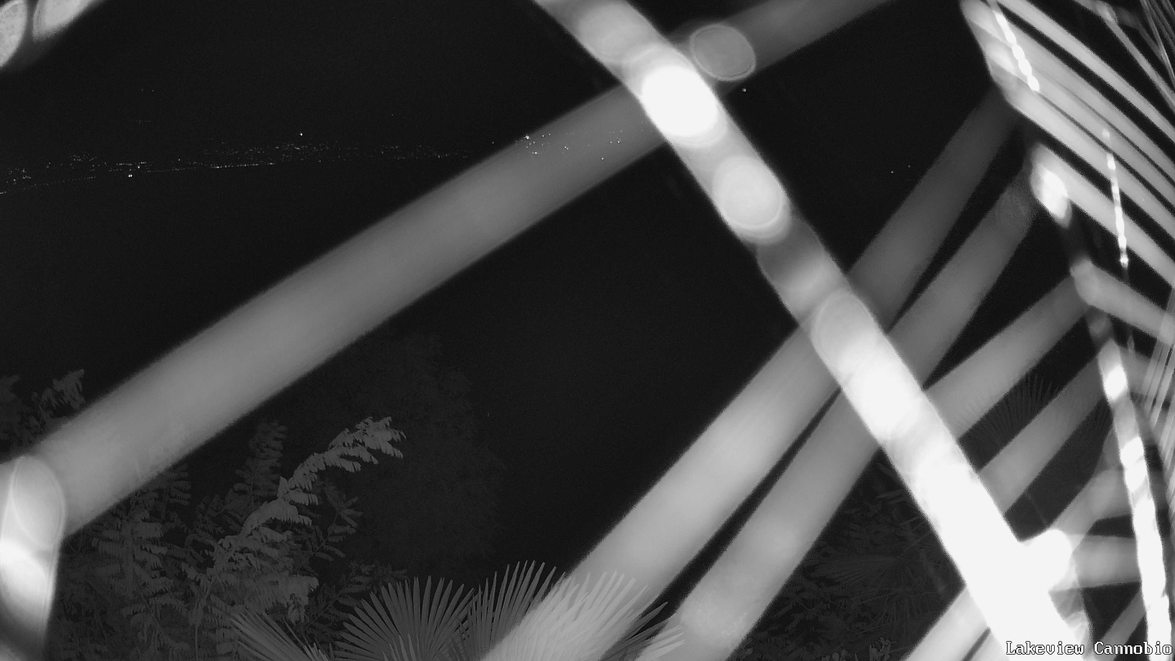 Archived image Webcam Lago Maggiore: Lakeview Camping Resort Cannobio