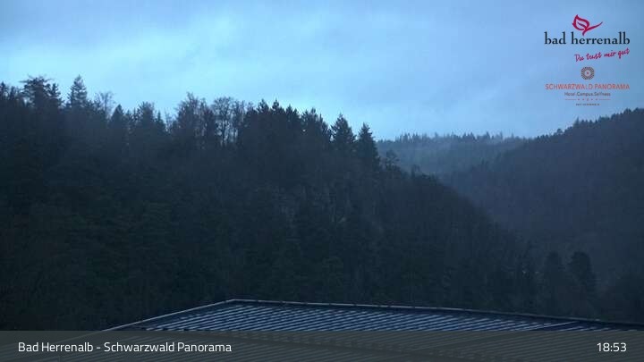 Archiv Foto Webcam Bad Herrenalb: Hotel Schwarzwald Panorama