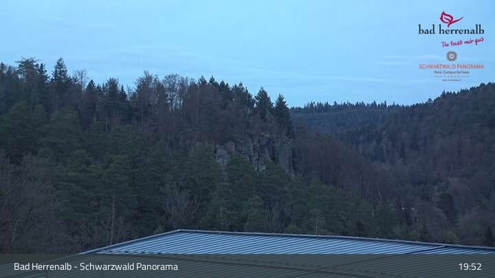 Archiv Foto Webcam Bad Herrenalb: Hotel Schwarzwald Panorama