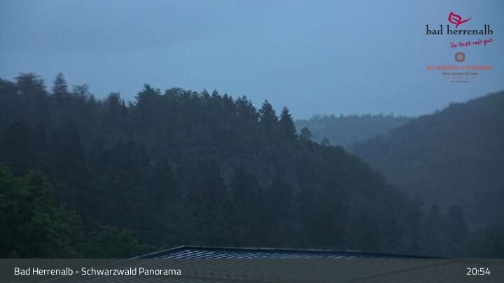Archiv Foto Webcam Bad Herrenalb: Hotel Schwarzwald Panorama