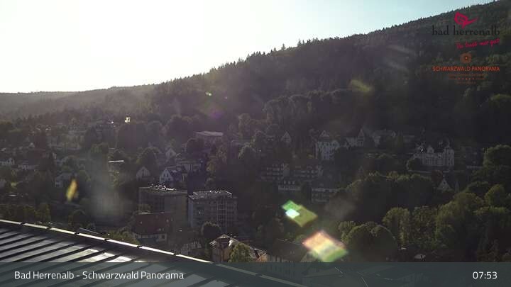Archiv Foto Webcam Bad Herrenalb: Hotel Schwarzwald Panorama