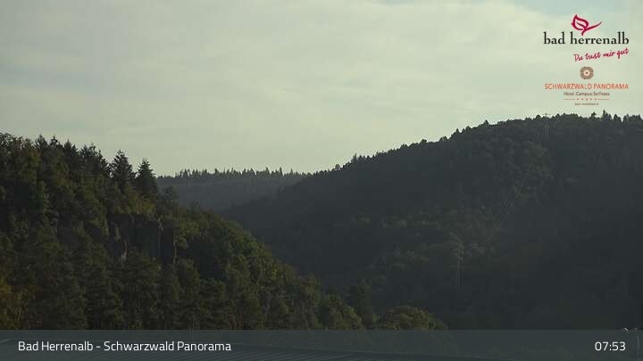 Archiv Foto Webcam Bad Herrenalb: Hotel Schwarzwald Panorama