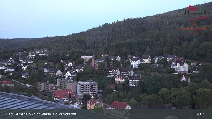 Archiv Foto Webcam Bad Herrenalb: Hotel Schwarzwald Panorama