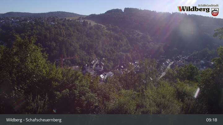 Archiv Foto Webcam Schafscheuernberg (Wildberg)