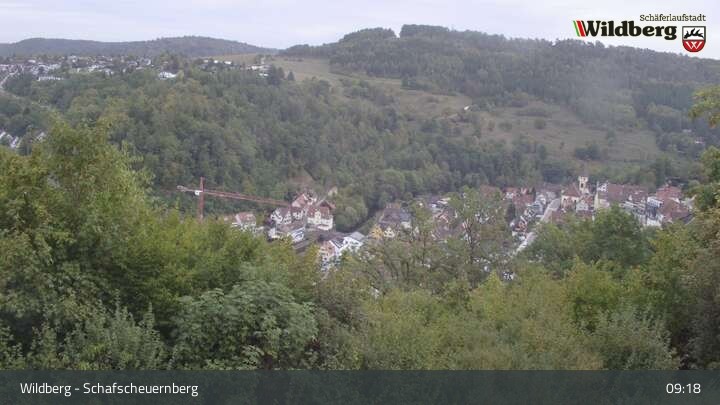 Archiv Foto Webcam Schafscheuernberg (Wildberg)