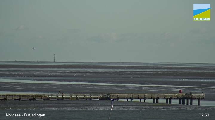 Archiv Foto Webcam Butjadingen Burhave - Nordsee