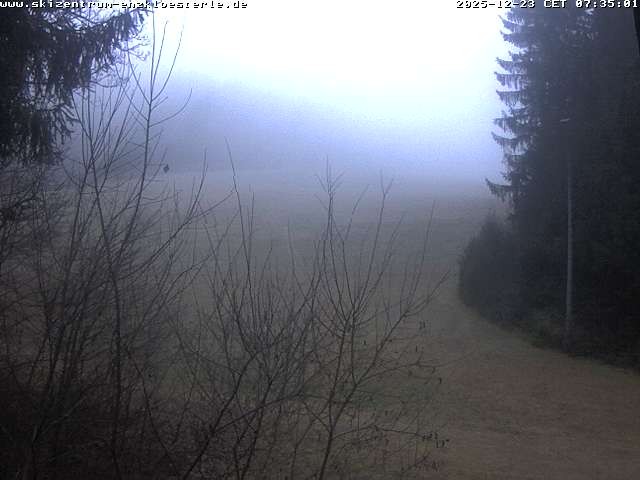 Archiv Foto Webcam Enzklösterle: Blick Skipiste
