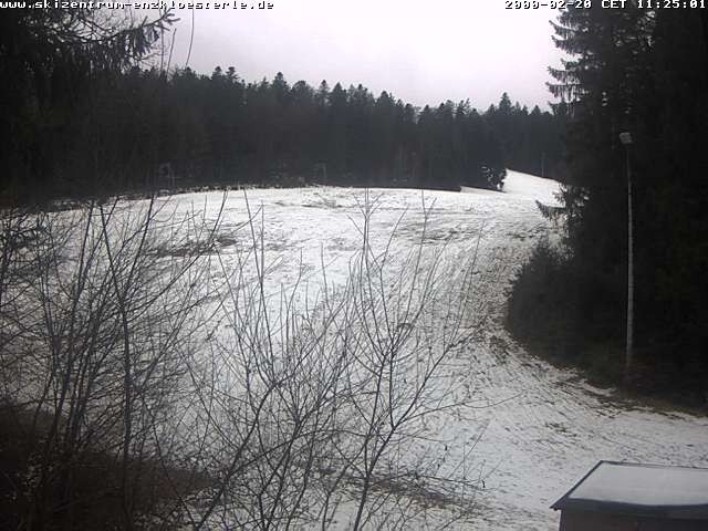 Archiv Foto Webcam Enzklösterle: Blick Skipiste