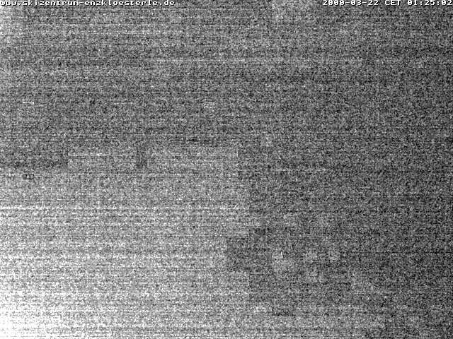 Archived image Webcam Enzklösterle: View Slope