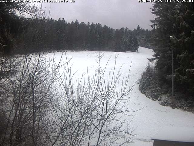 Archiv Foto Webcam Enzklösterle: Blick Skipiste