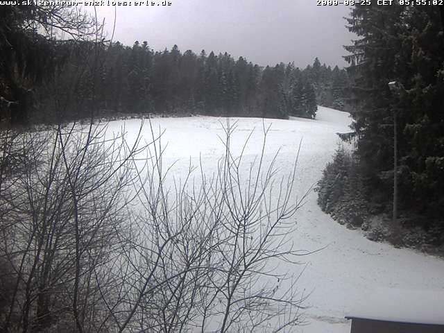 Archiv Foto Webcam Enzklösterle: Blick Skipiste