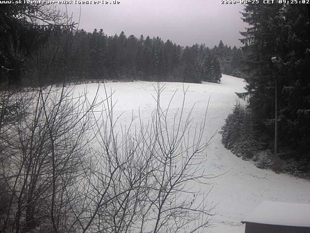 Archiv Foto Webcam Enzklösterle: Blick Skipiste