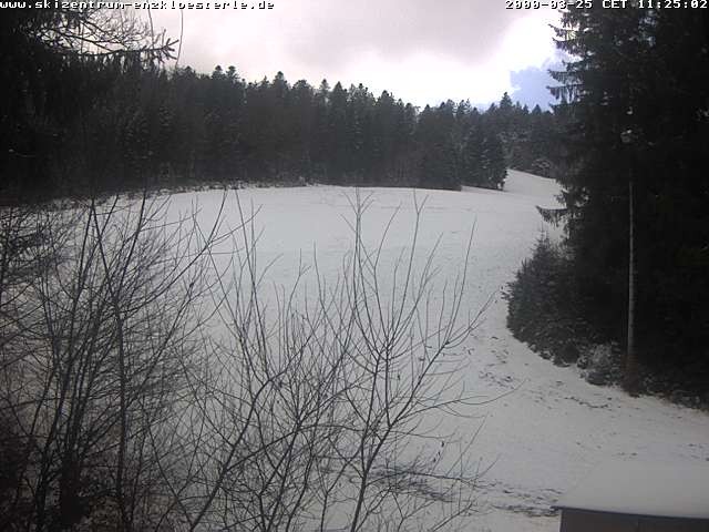 Archiv Foto Webcam Enzklösterle: Blick Skipiste