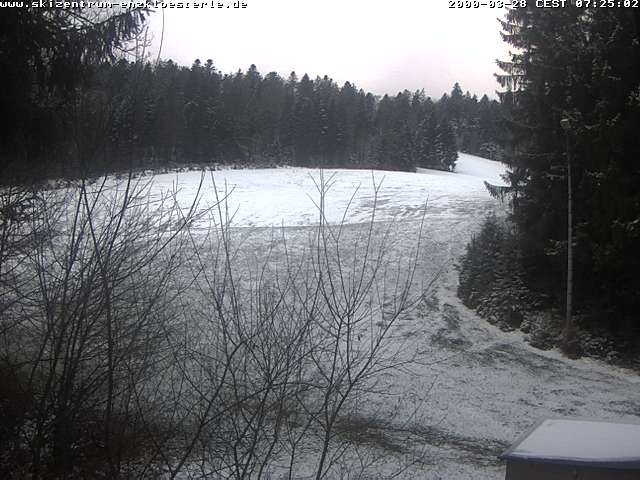 Archiv Foto Webcam Enzklösterle: Blick Skipiste