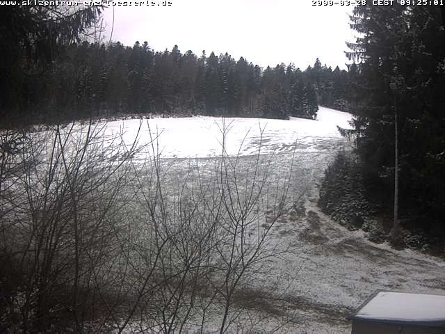 Archiv Foto Webcam Enzklösterle: Blick Skipiste