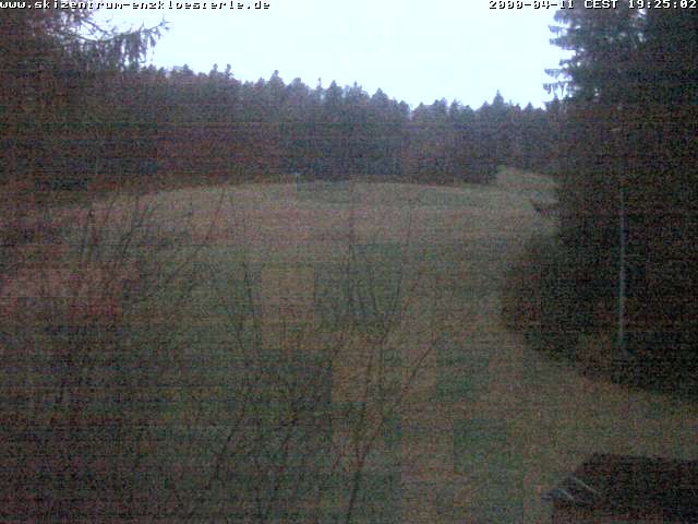 Archived image Webcam Enzklösterle: View Slope
