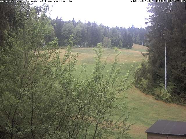 Archived image Webcam Enzklösterle: View Slope