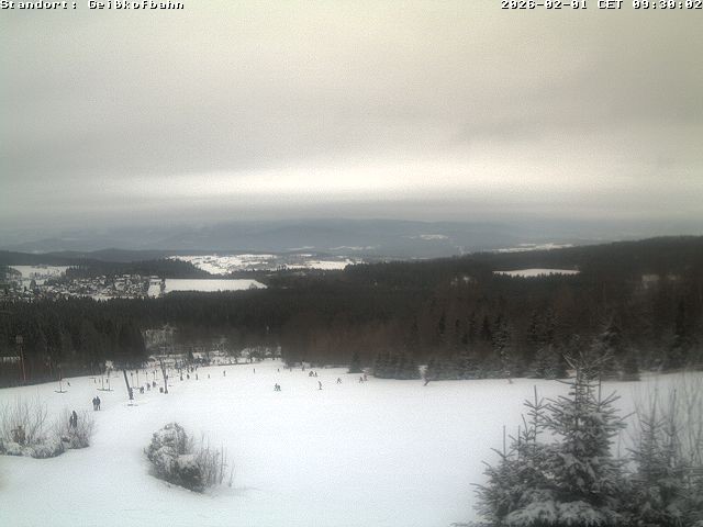 Archiv Foto Webcam Blick vom Geisskopf ins Tal