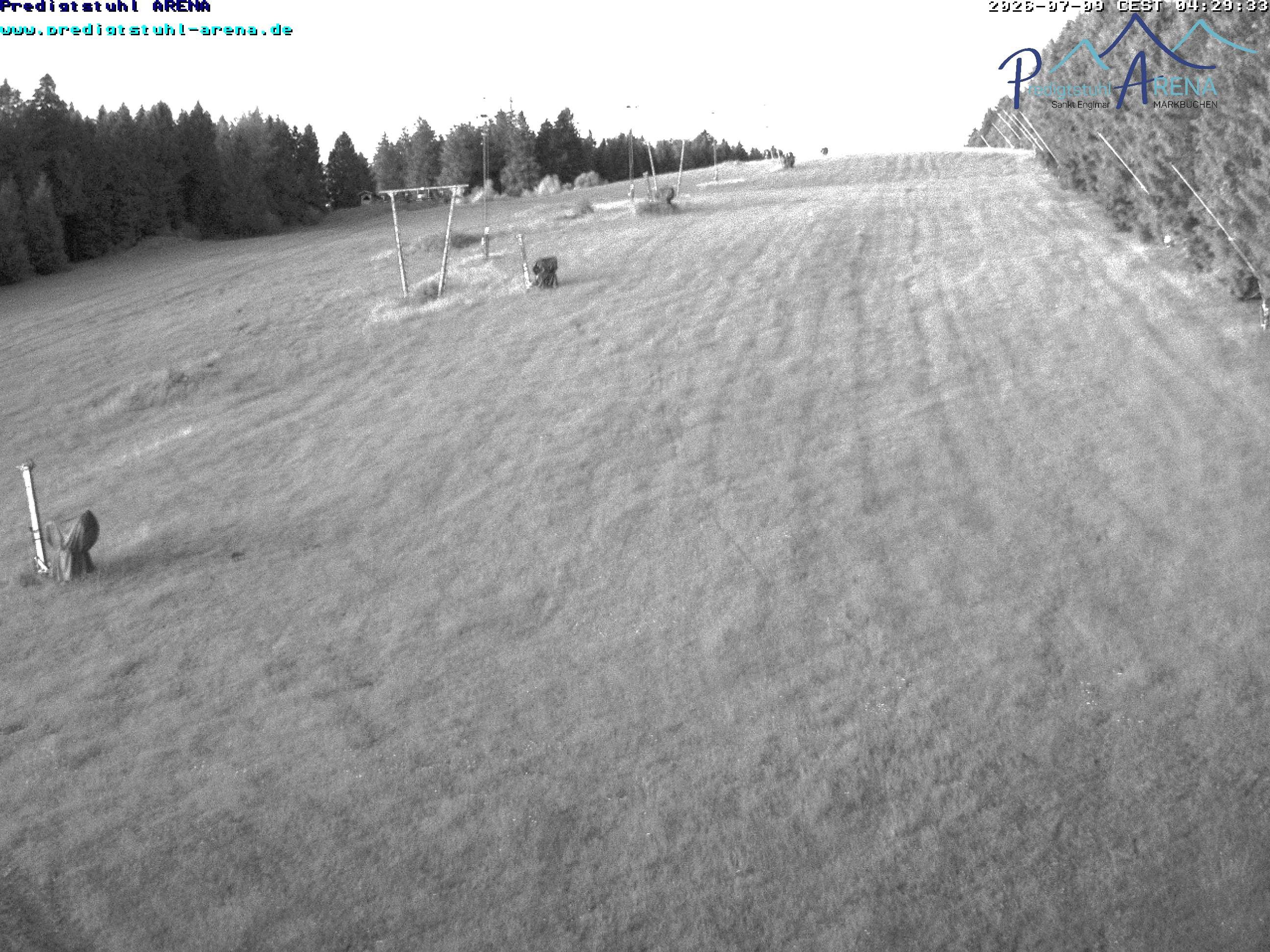 Archiv Foto Webcam Predigtstuhl, St. Englmar