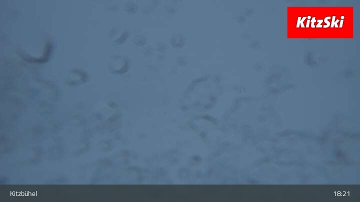 Archiv Foto Webcam Bergstation Hahnenkamm