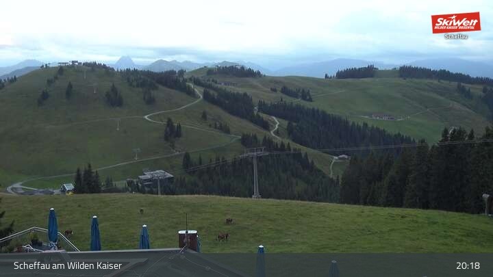 Archiv Foto Webcam Restaurant Brandlstadl, Scheffau