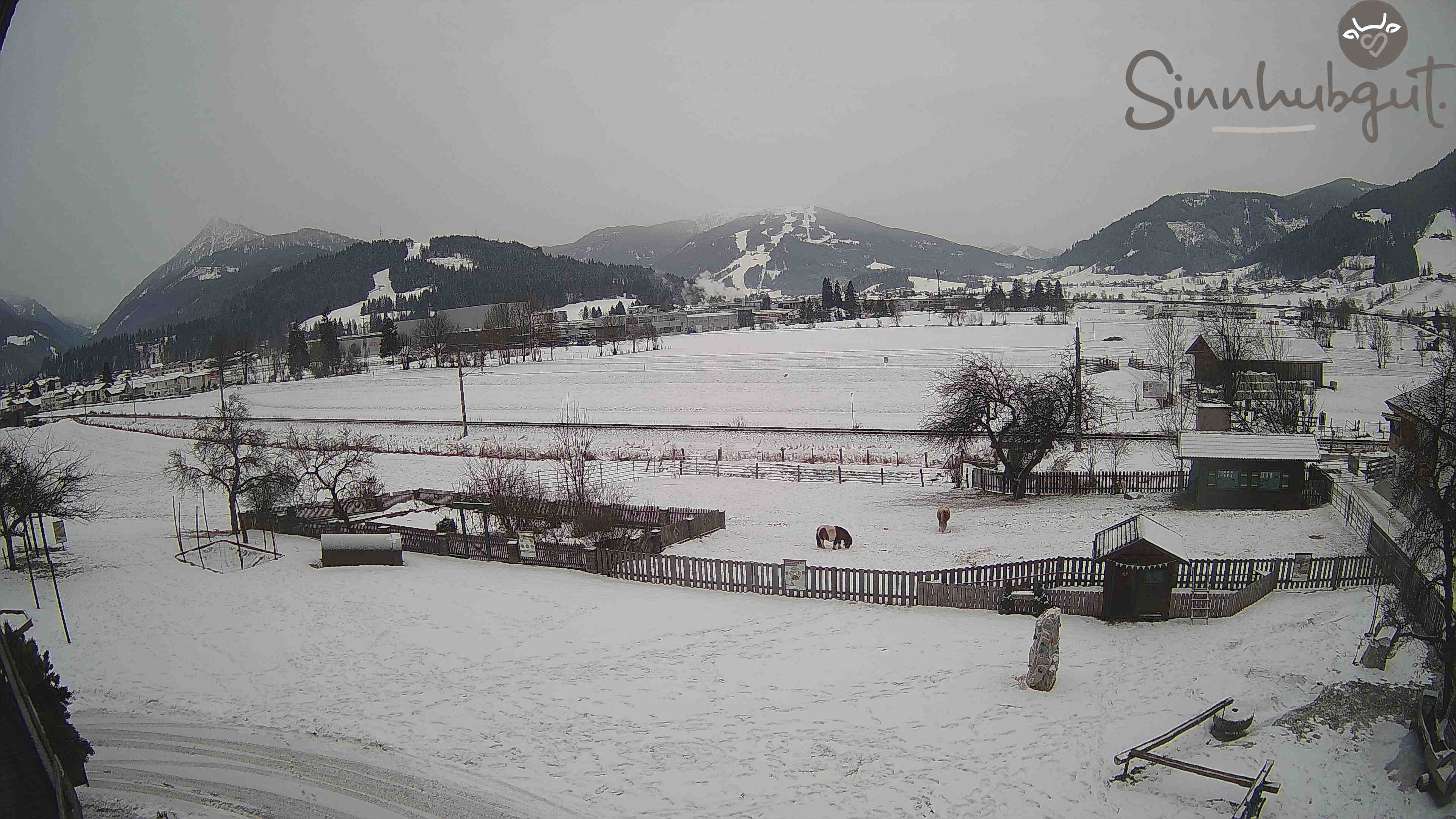Archiv Foto Webcam Altenmarkt: Ferienbauernhof Sinnhubgut