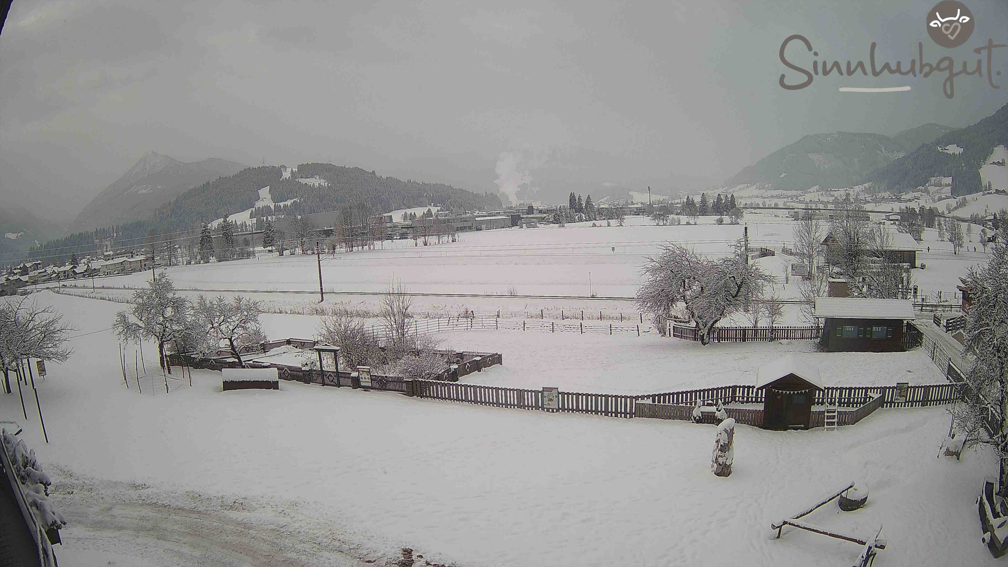 Archived image Webcam Sinnhub farm - Altenmarkt