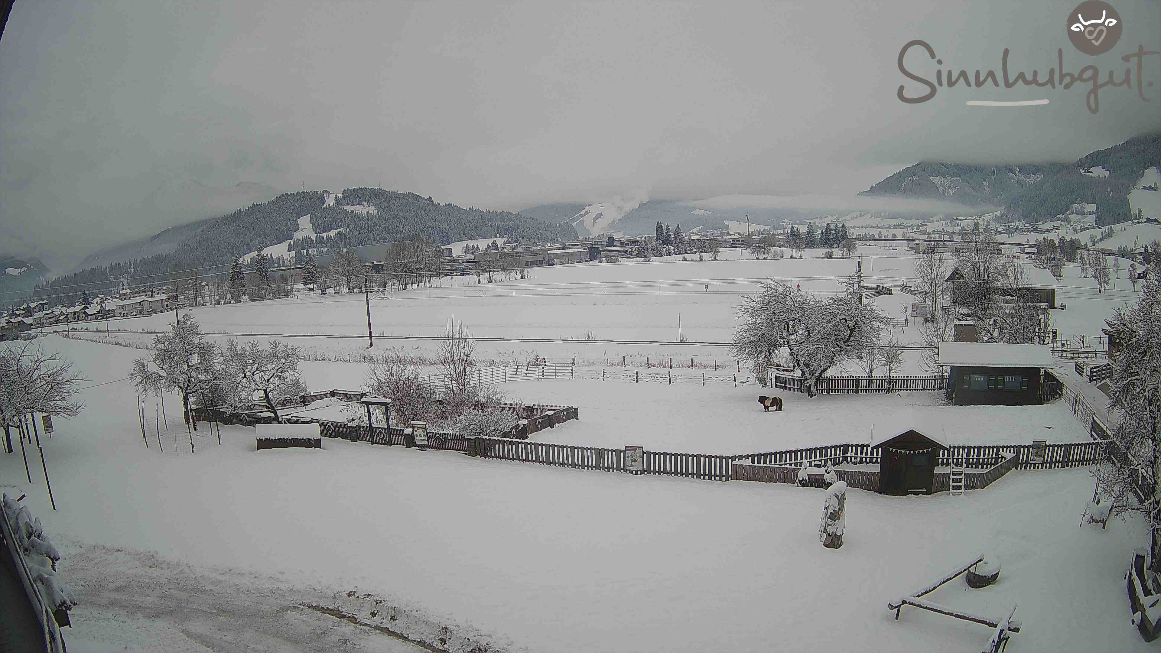 Archiv Foto Webcam Altenmarkt: Ferienbauernhof Sinnhubgut