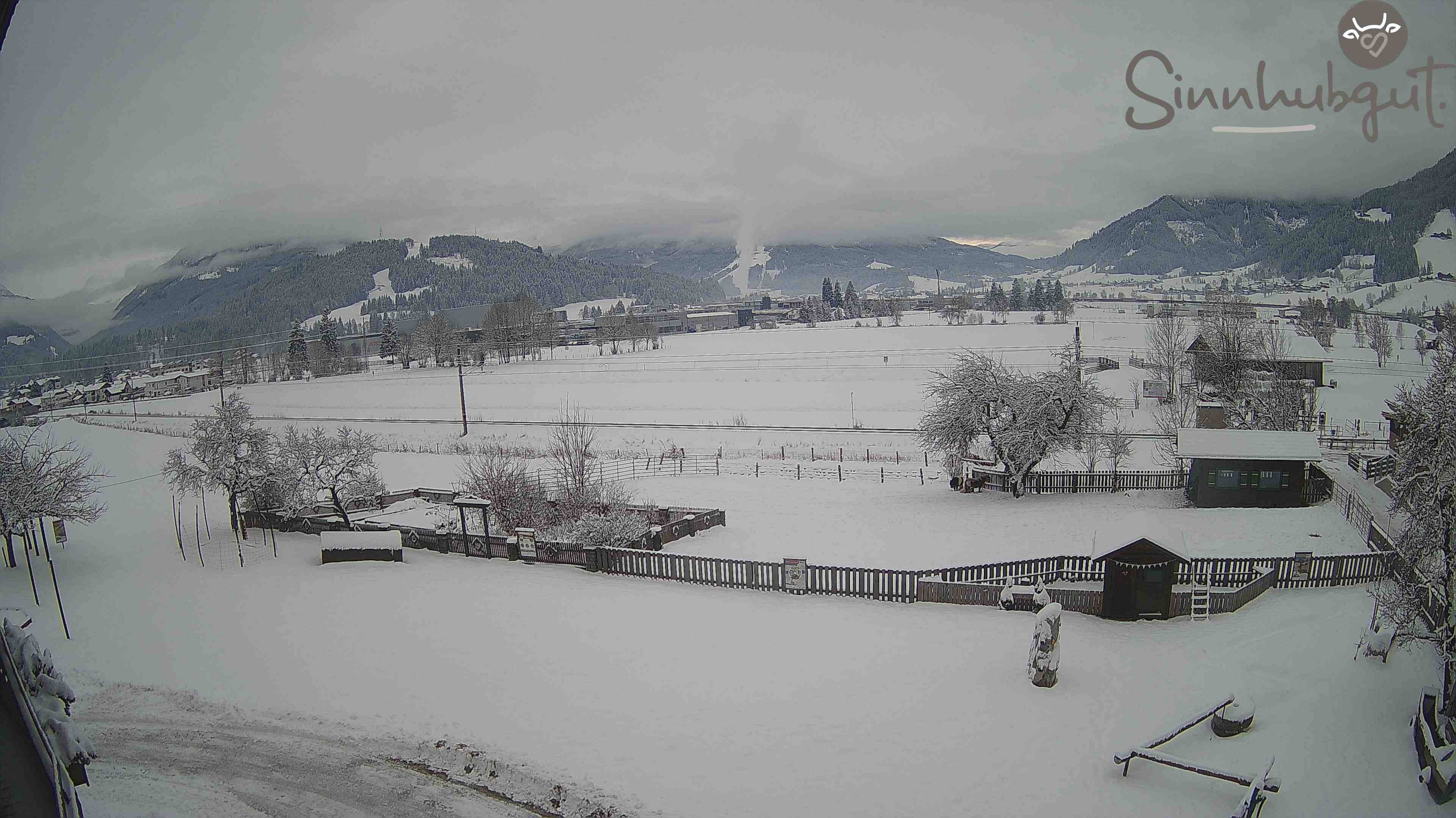 Archived image Webcam Sinnhub farm - Altenmarkt