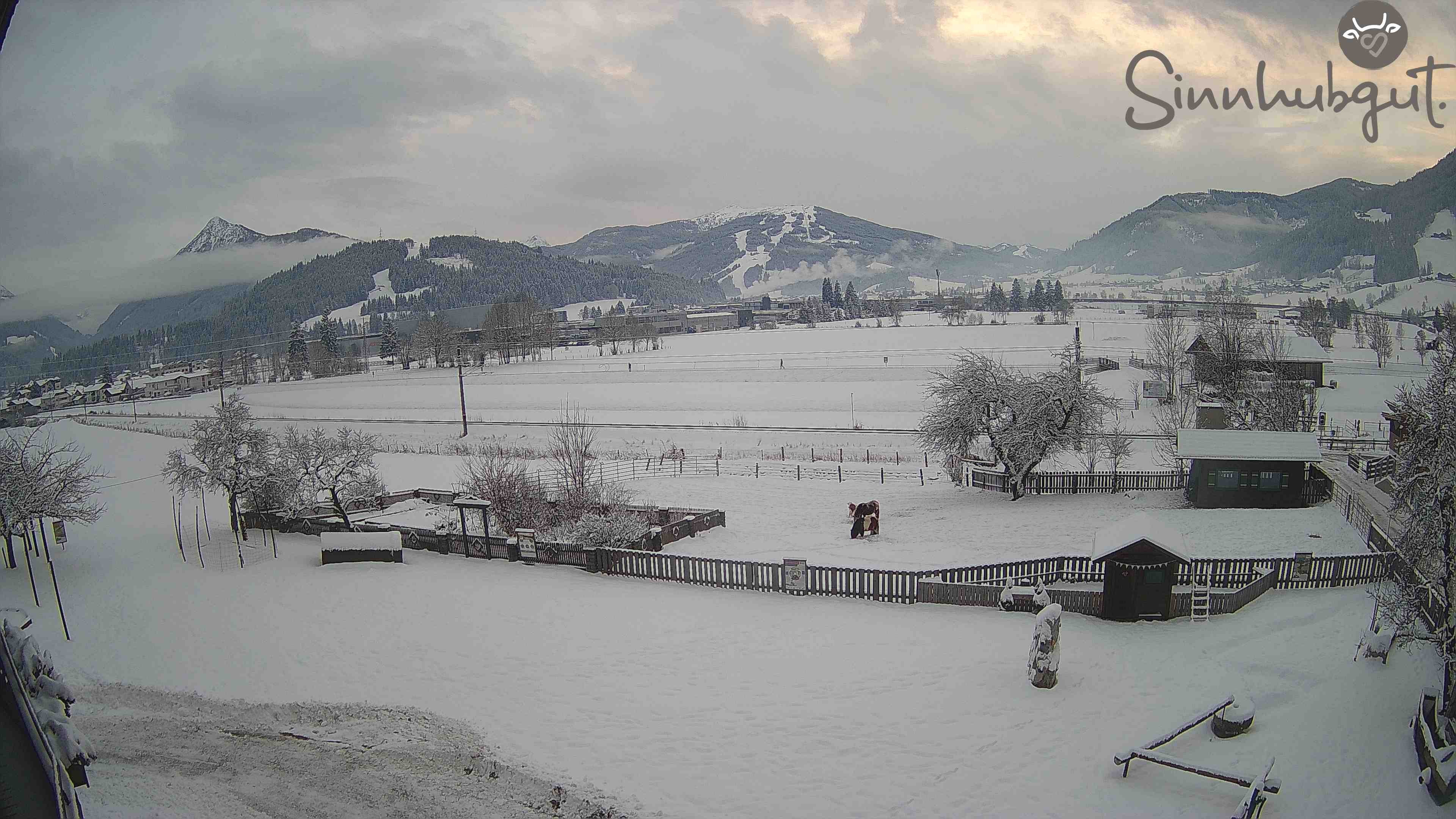 Archived image Webcam Sinnhub farm - Altenmarkt