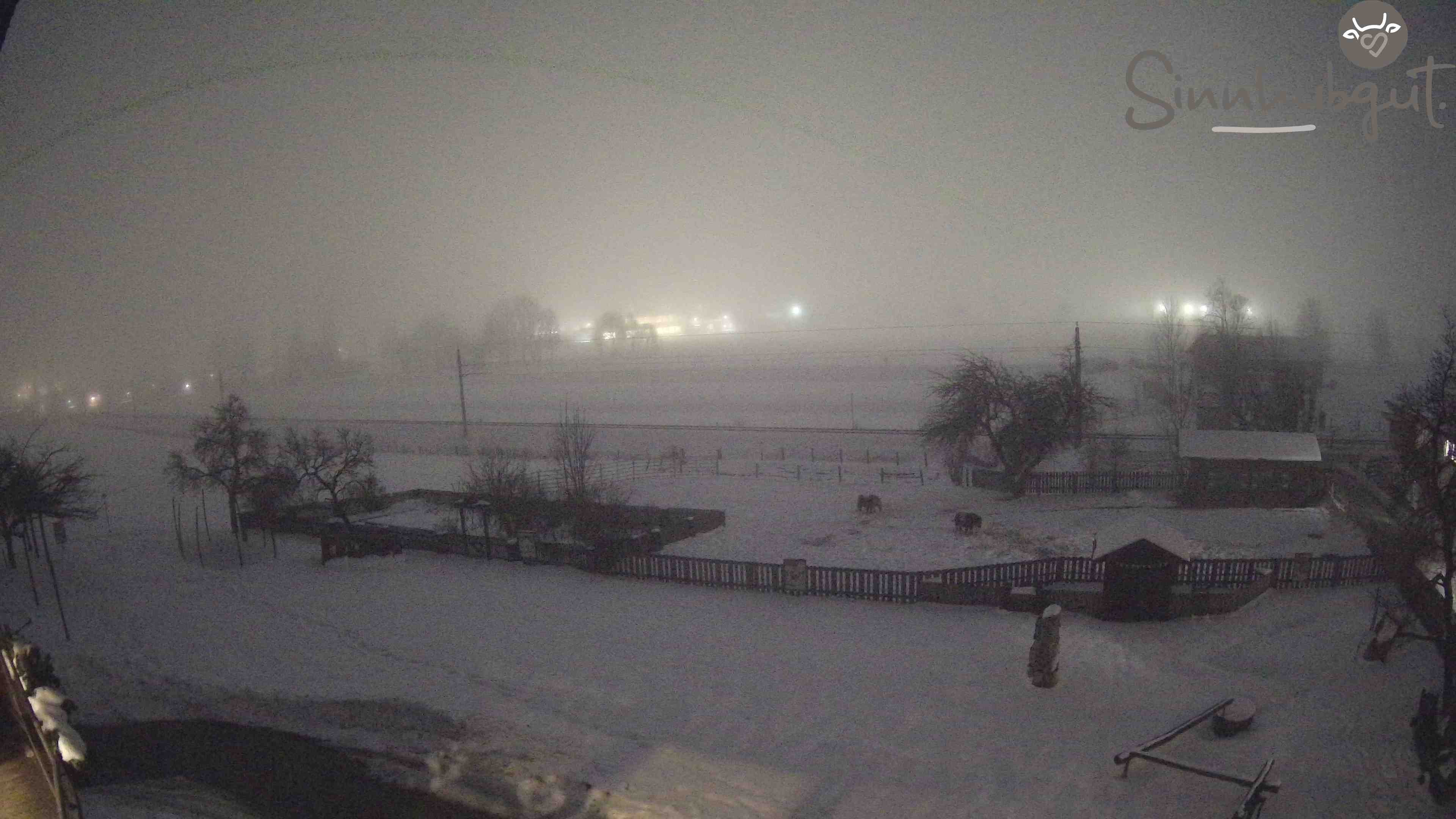 Archived image Webcam Sinnhub farm - Altenmarkt