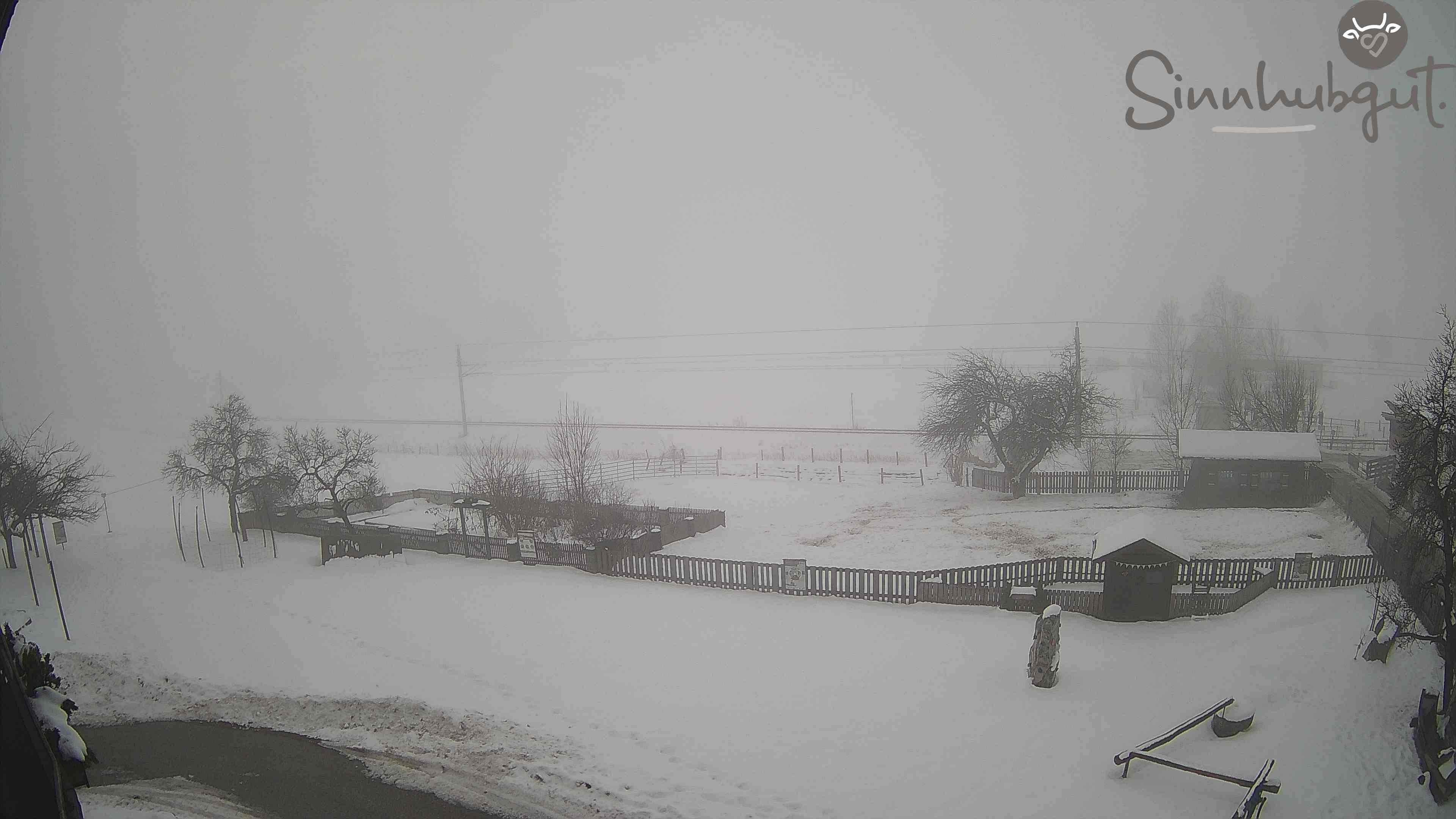 Archived image Webcam Sinnhub farm - Altenmarkt