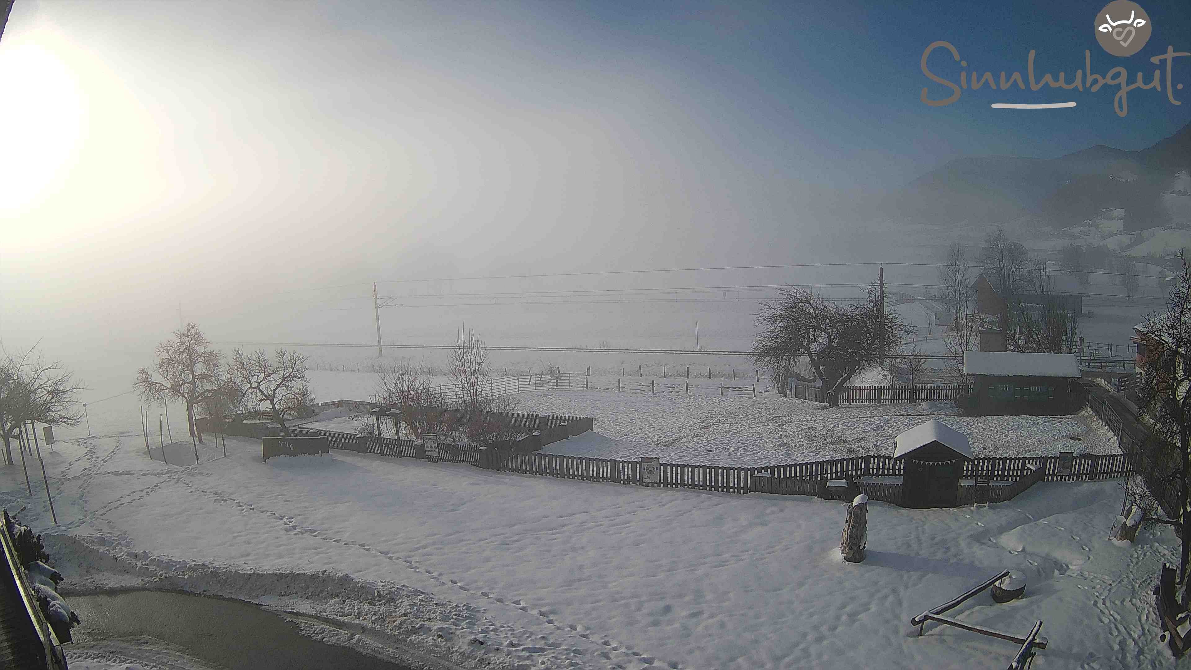 Archived image Webcam Sinnhub farm - Altenmarkt