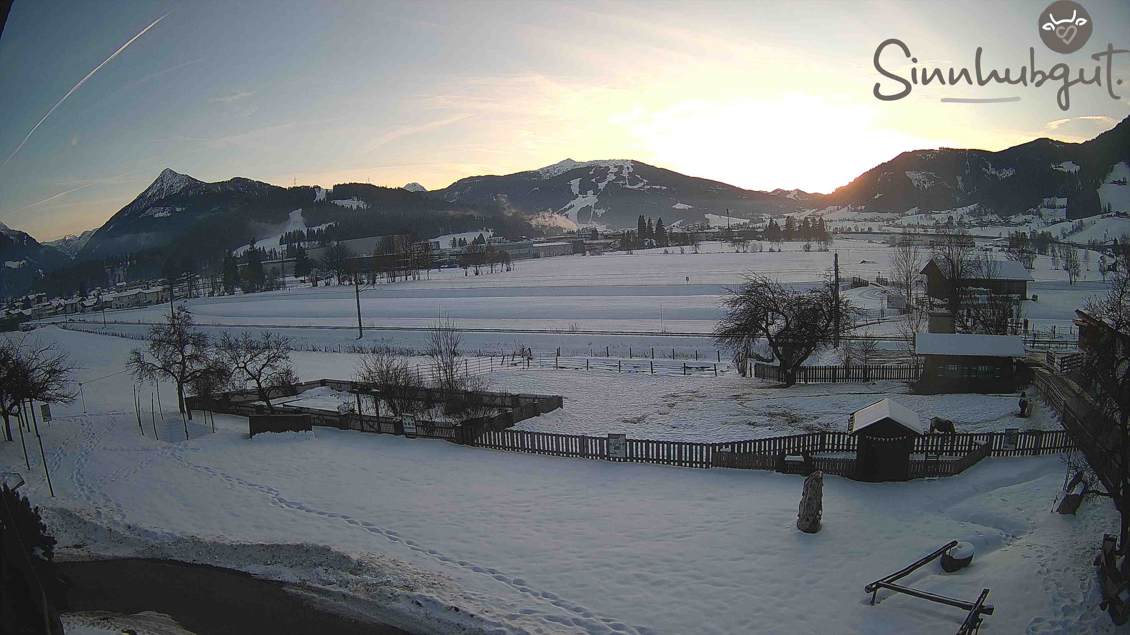 Archived image Webcam Sinnhub farm - Altenmarkt