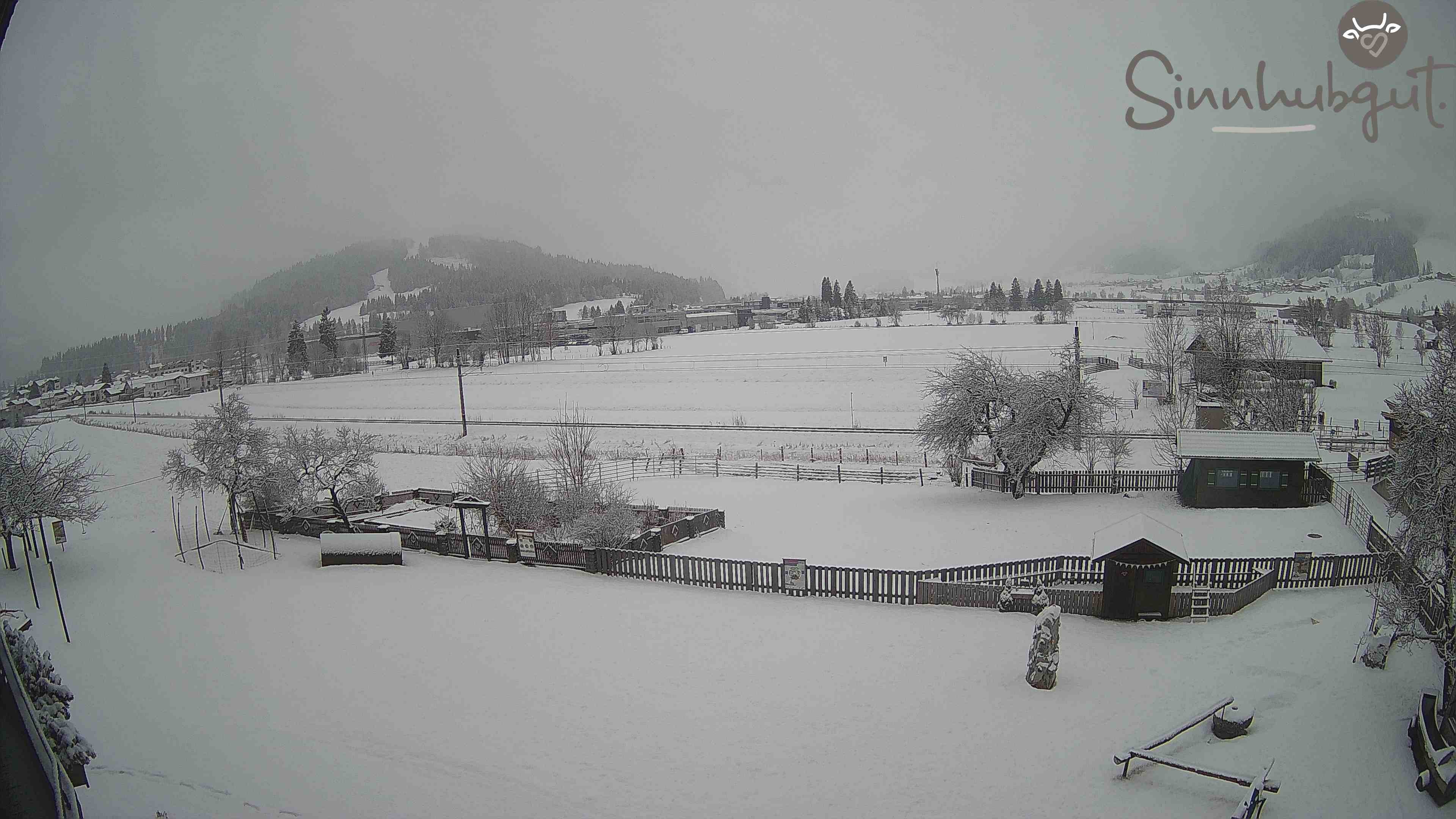 Archived image Webcam Sinnhub farm - Altenmarkt