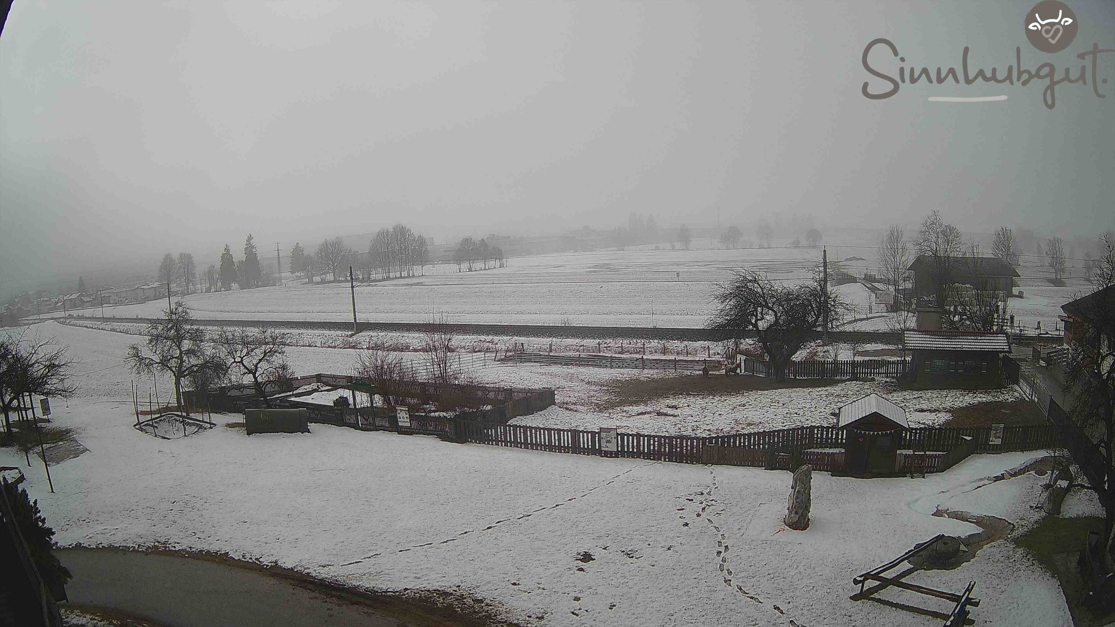 Archiv Foto Webcam Altenmarkt: Ferienbauernhof Sinnhubgut