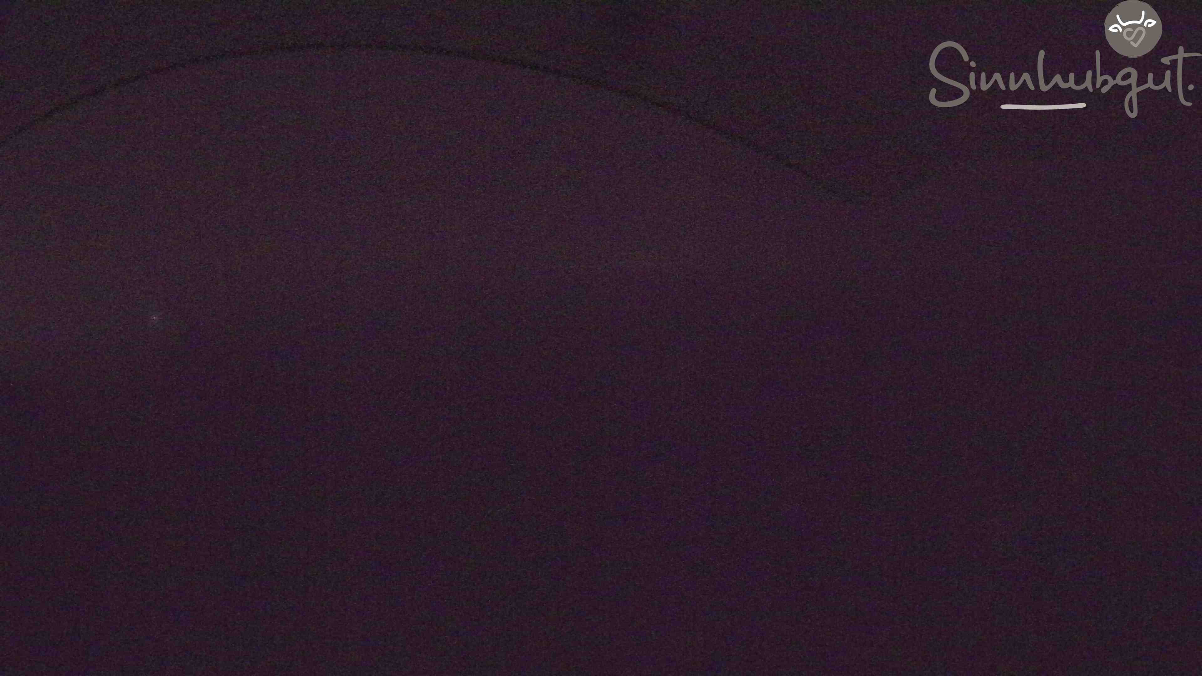 Archived image Webcam Sinnhub farm - Altenmarkt