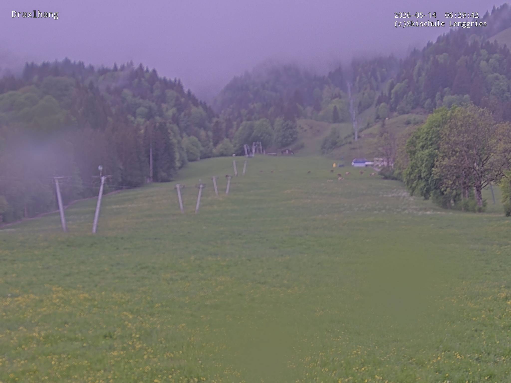 Archiv Foto Webcam Blick auf den Draxlhang