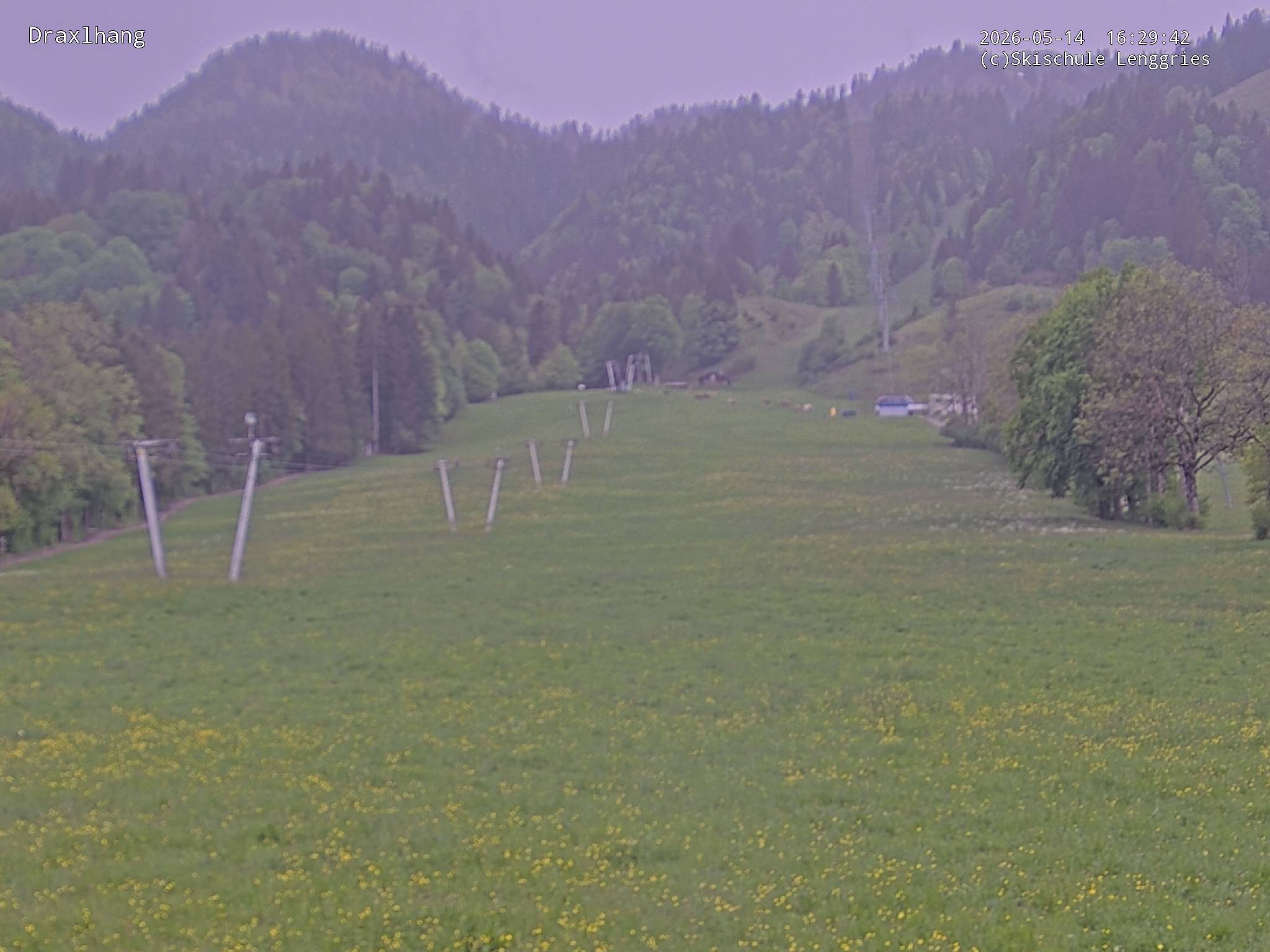 Archiv Foto Webcam Blick auf den Draxlhang