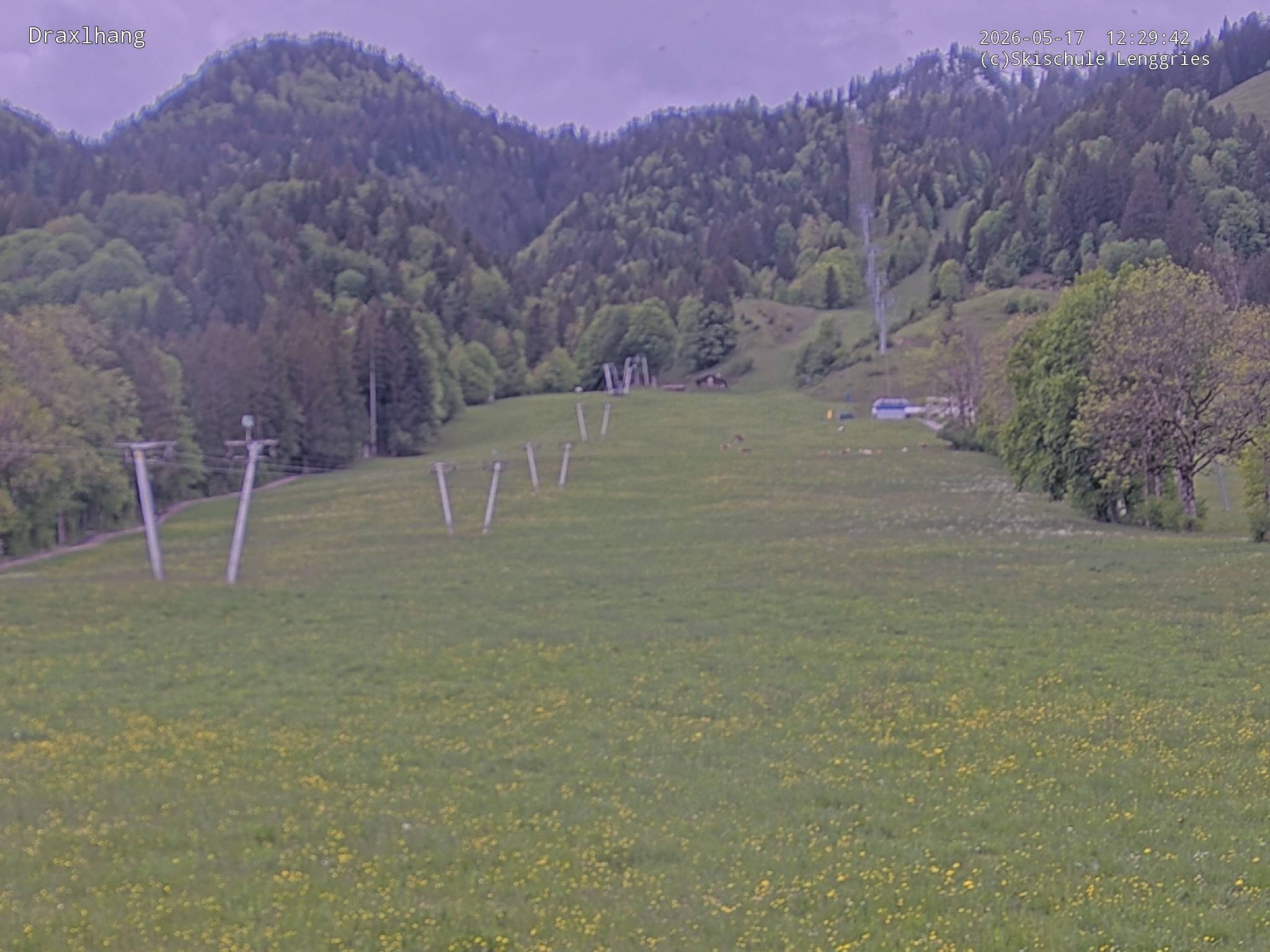 Archiv Foto Webcam Blick auf den Draxlhang