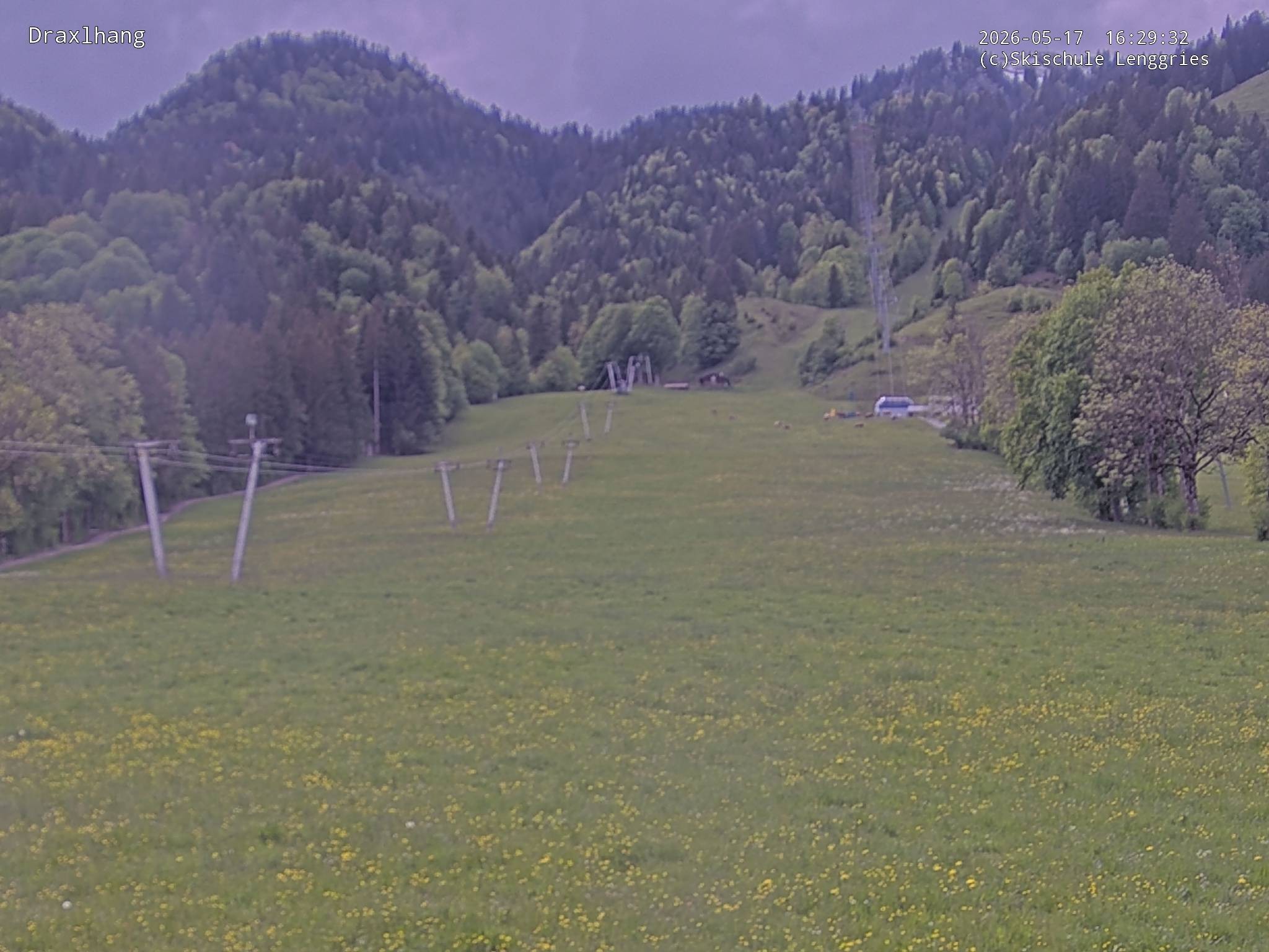 Archiv Foto Webcam Blick auf den Draxlhang