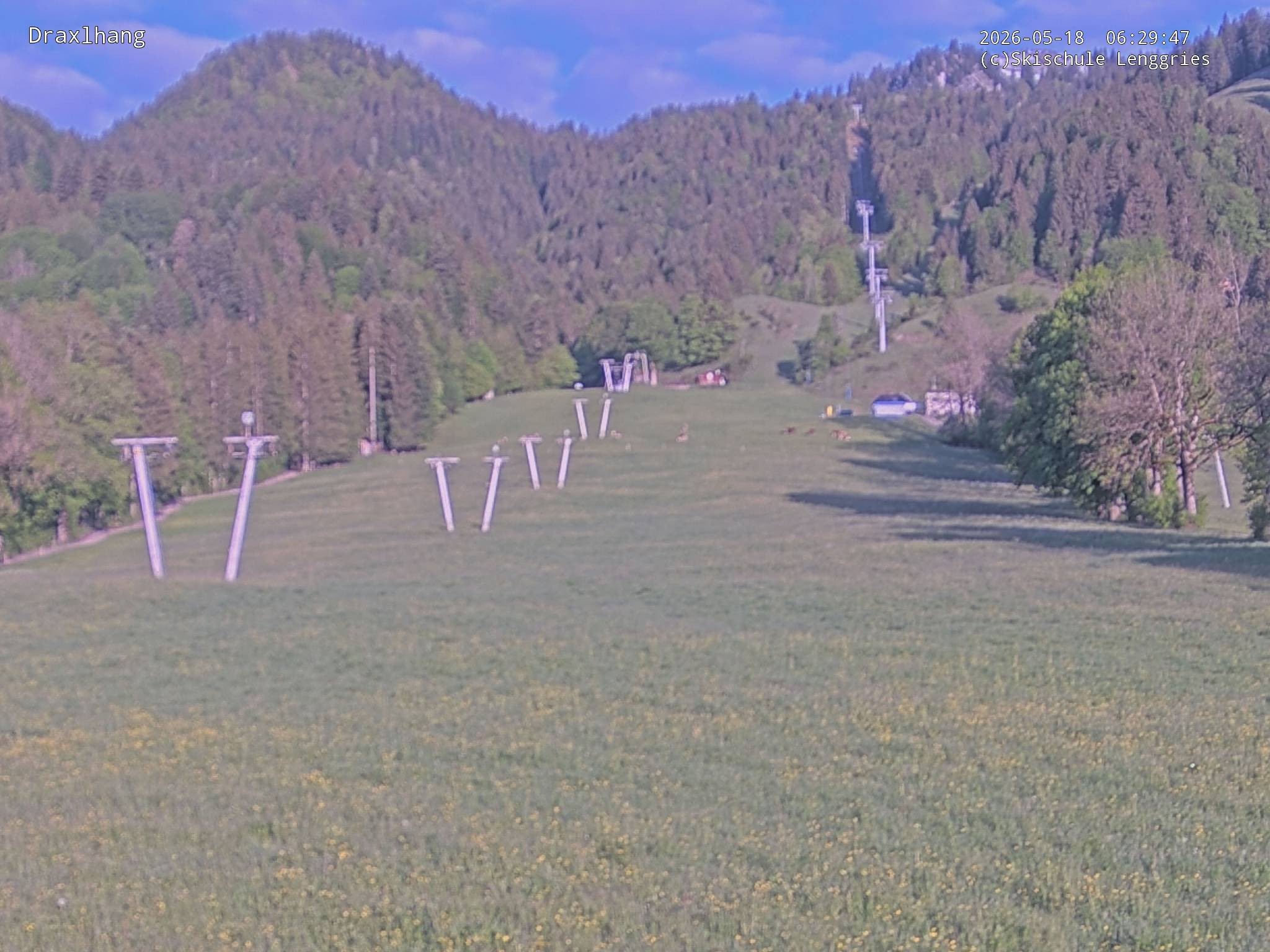 Archiv Foto Webcam Blick auf den Draxlhang