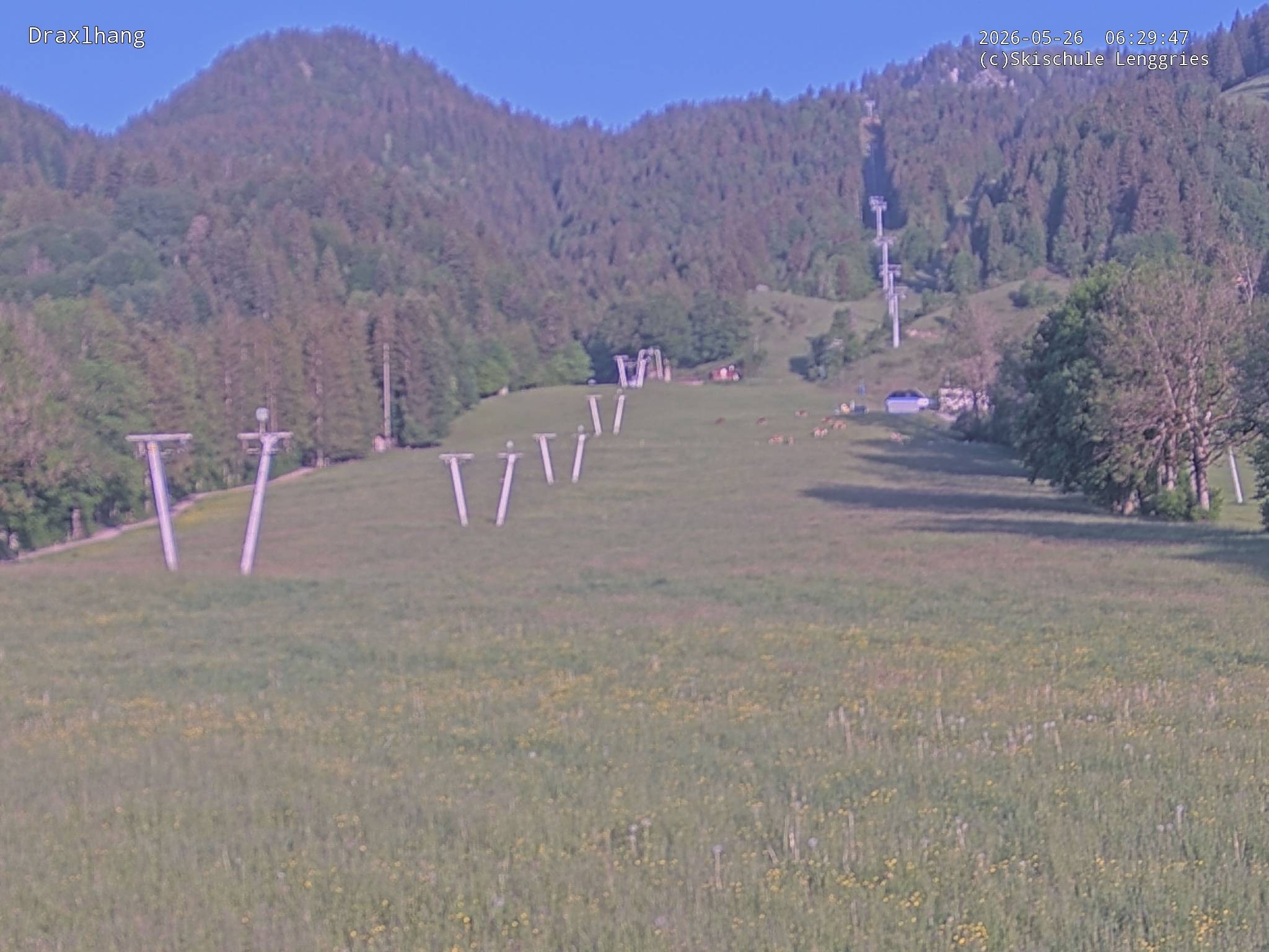 Archiv Foto Webcam Blick auf den Draxlhang