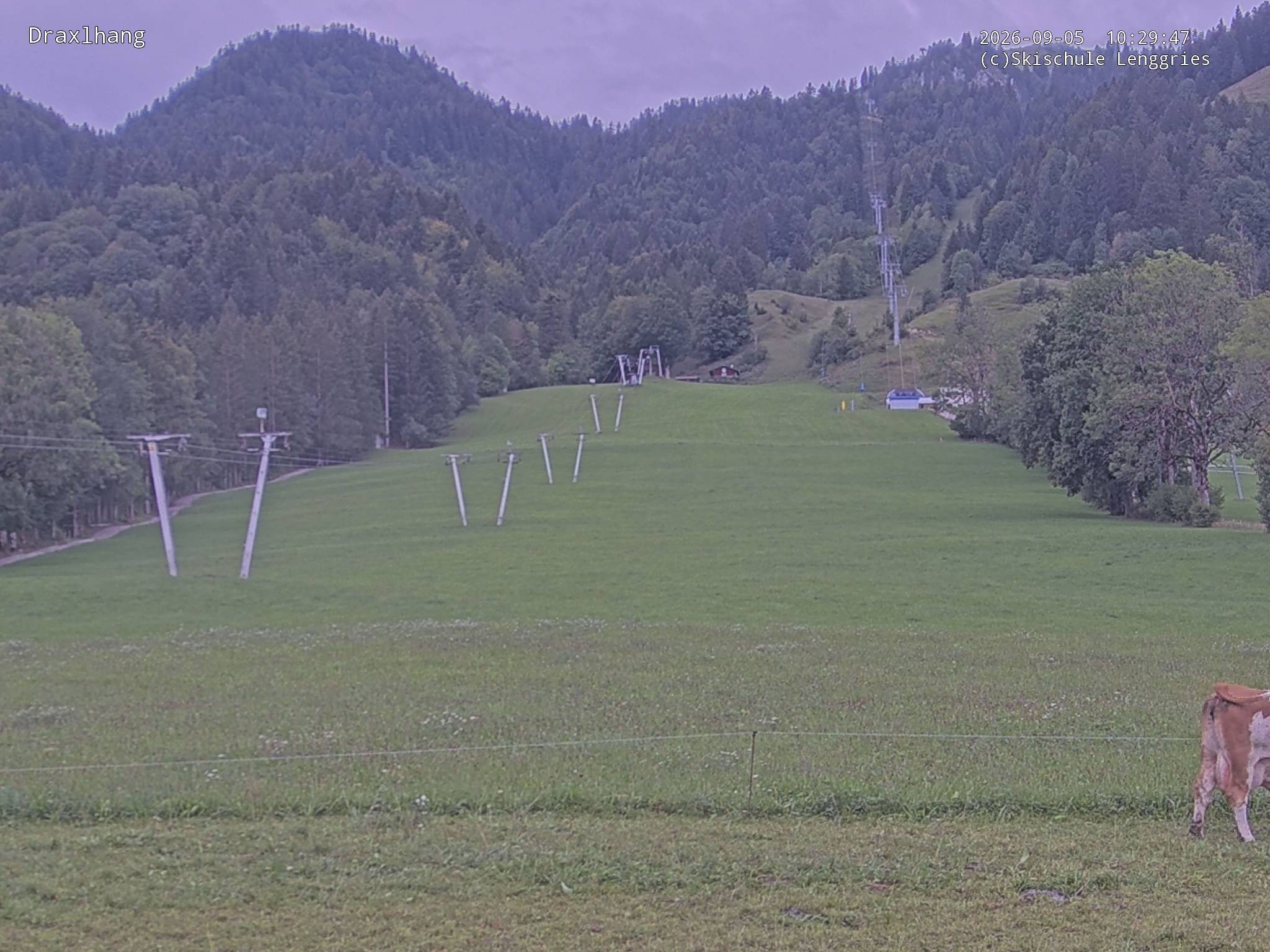 Archiv Foto Webcam Blick auf den Draxlhang